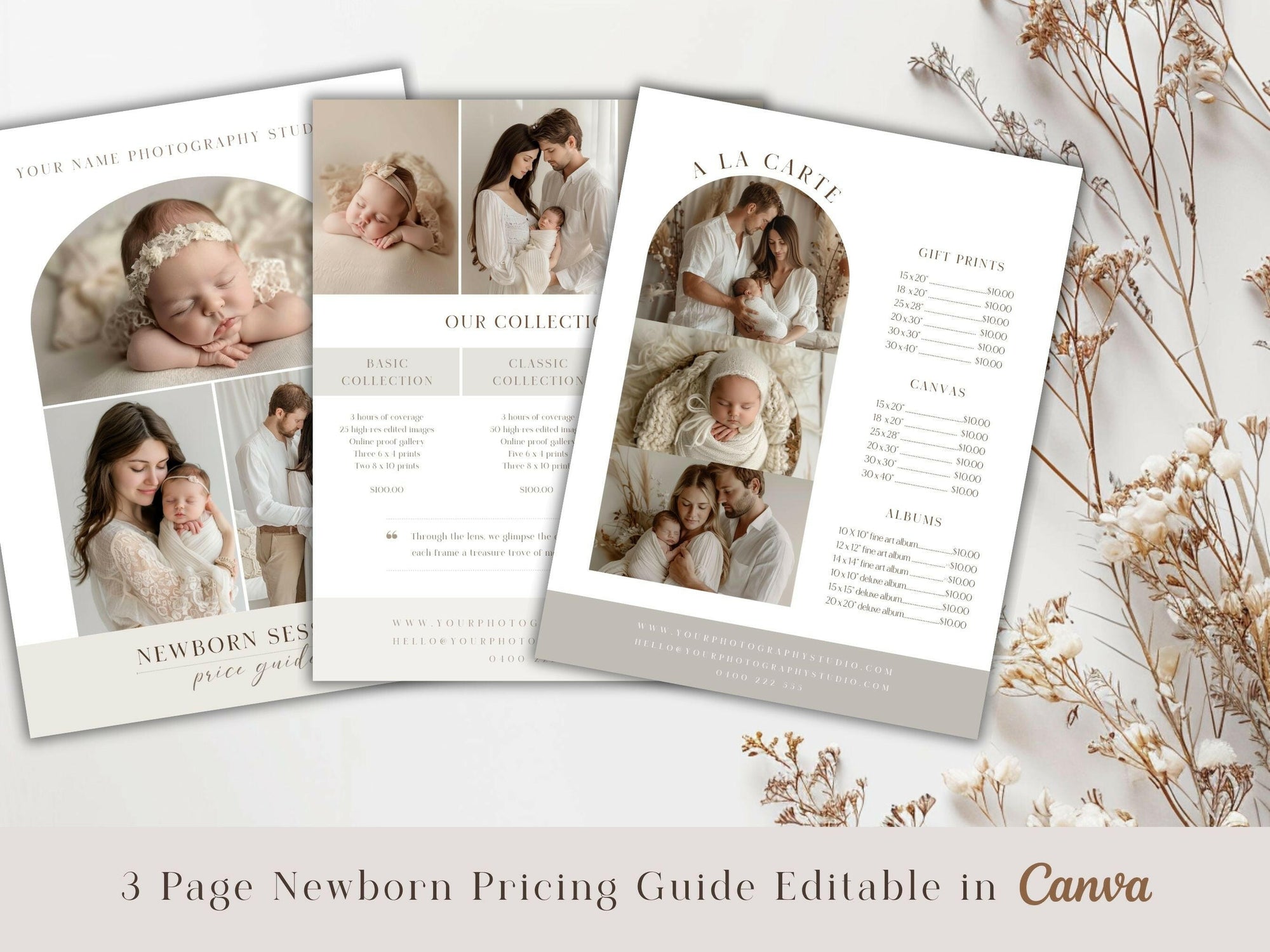 Newborn Pricing Guide for Canva - 3 Pages - Design 1