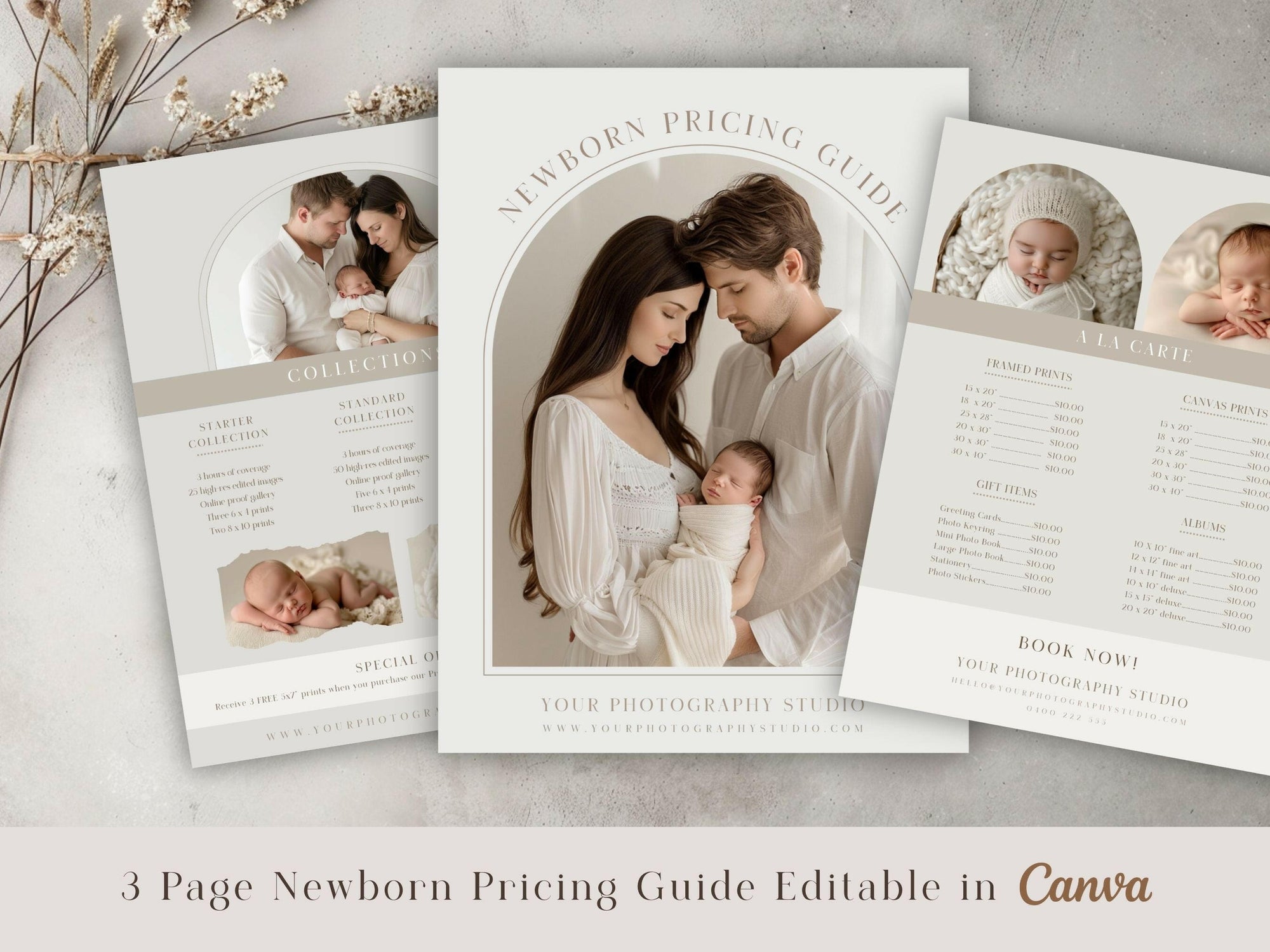 Newborn Pricing Guide for Canva - 3 Pages - Design 3