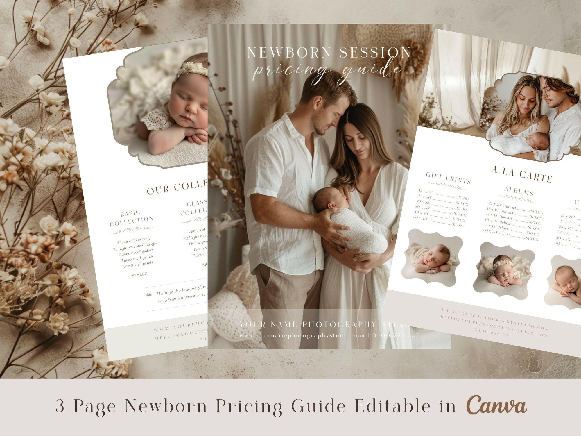 Newborn Pricing Guide for Canva - 3 Pages - Design 2