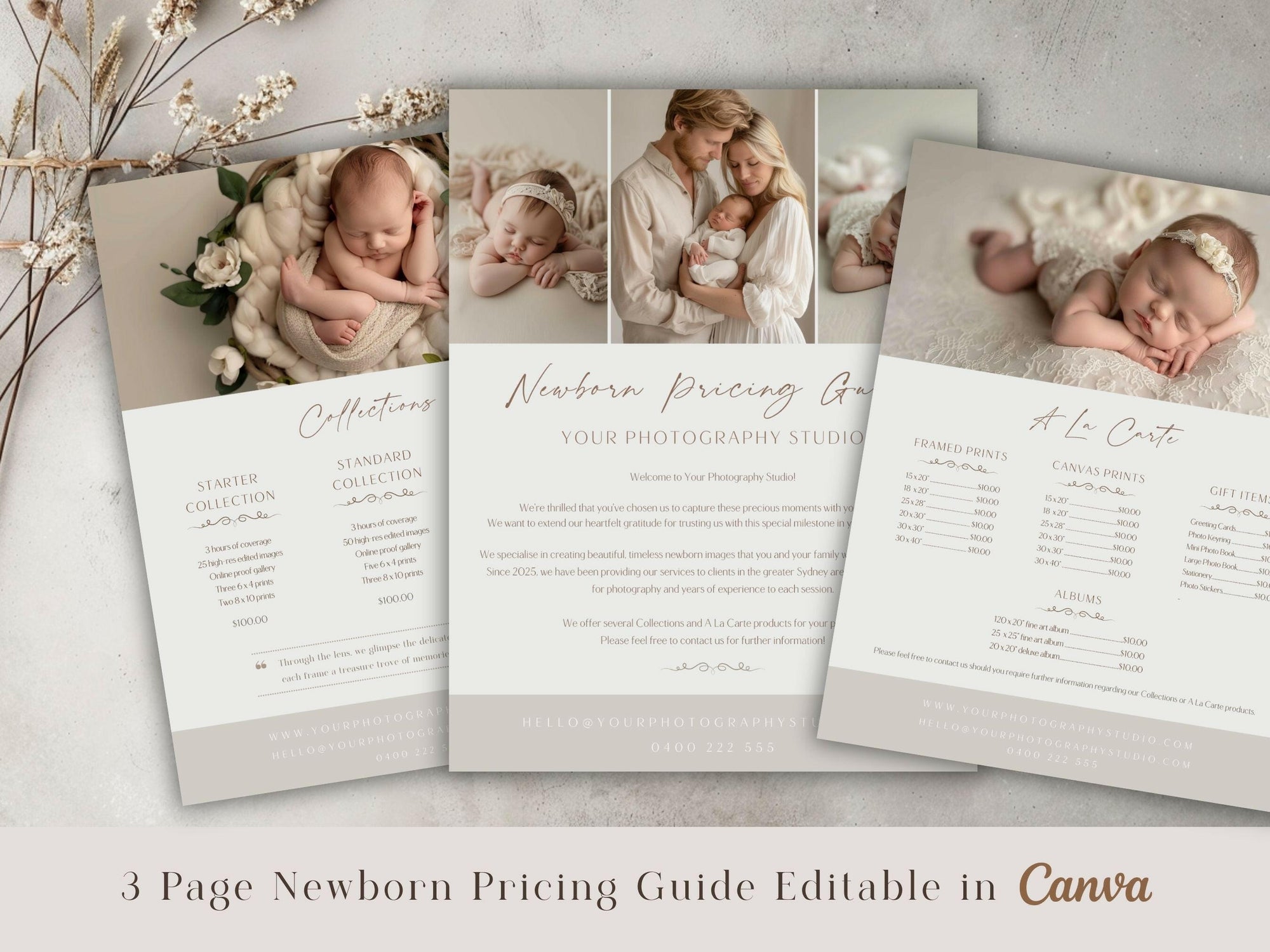 Newborn Pricing Guide for Canva - 3 Pages - Design 4