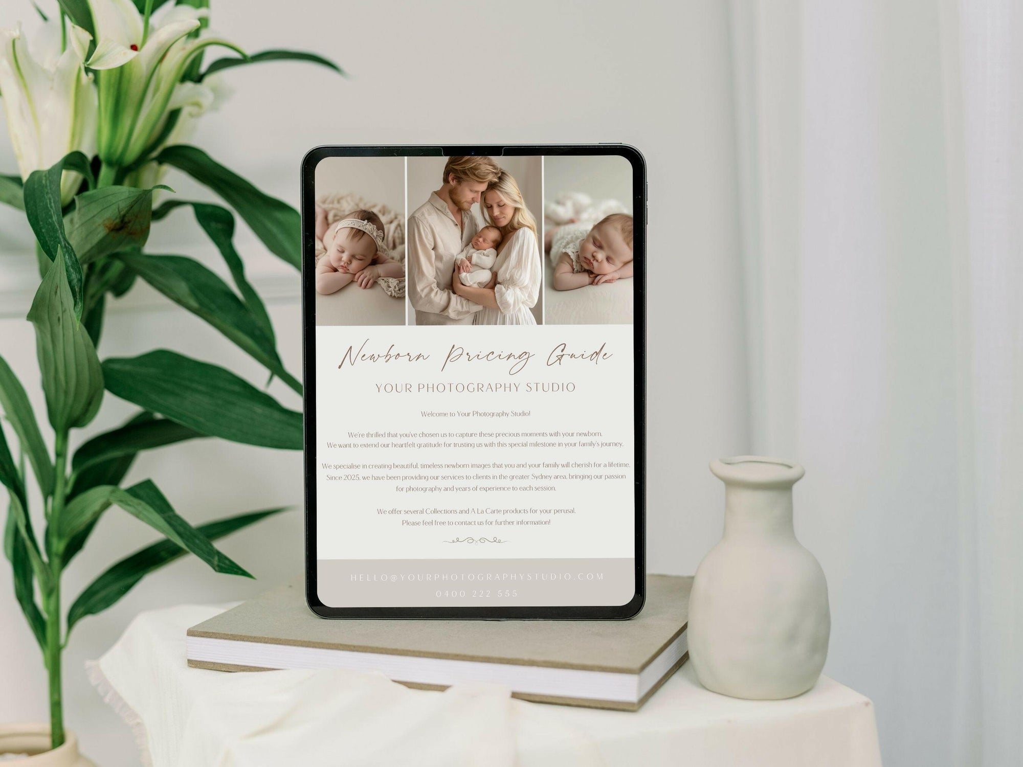 Newborn Pricing Guide for Canva - 3 Pages - Design 4