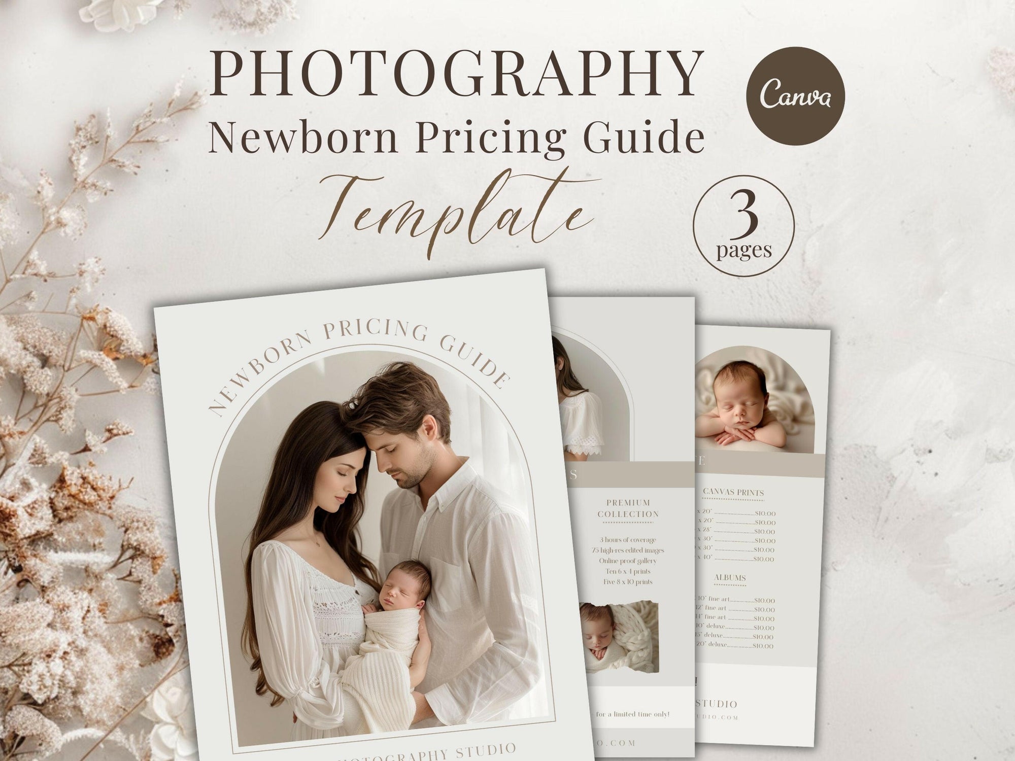 Newborn Pricing Guide for Canva - 3 Pages - Design 3