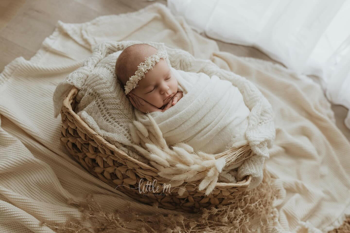 Ashlyn Knitted Blankets - Newborn Photography Props