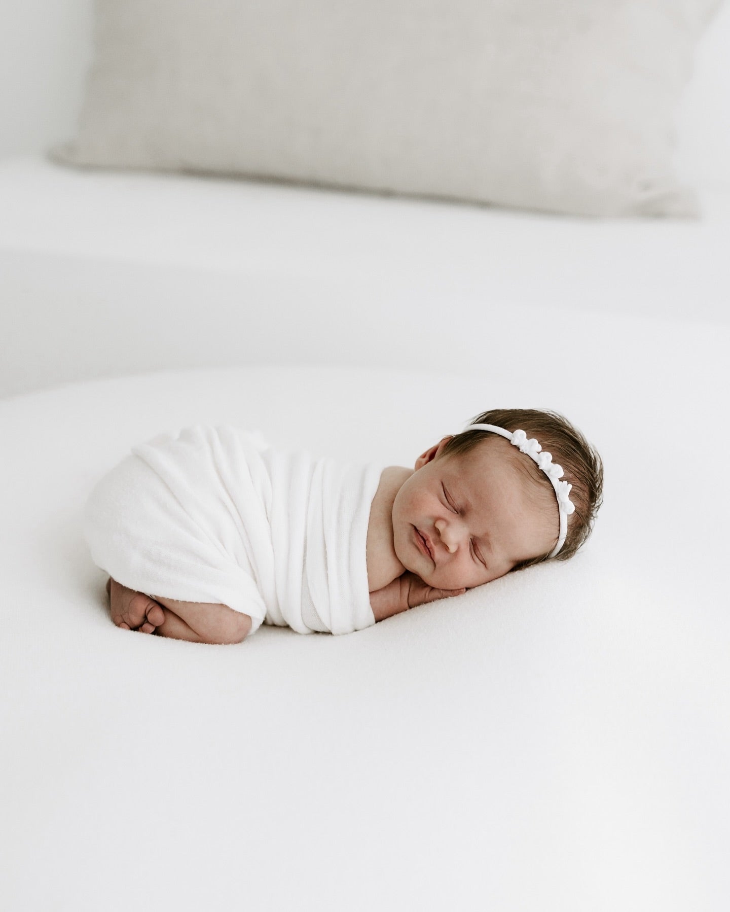 Essential Studio Drop BUNDLE