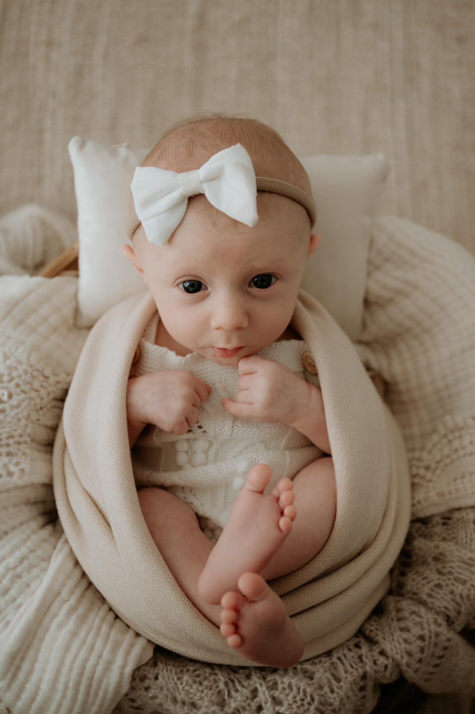 Classic Bow Headbands